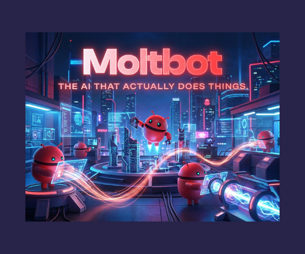 Moltbot Setup