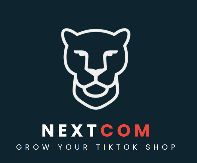 TikTok Agency